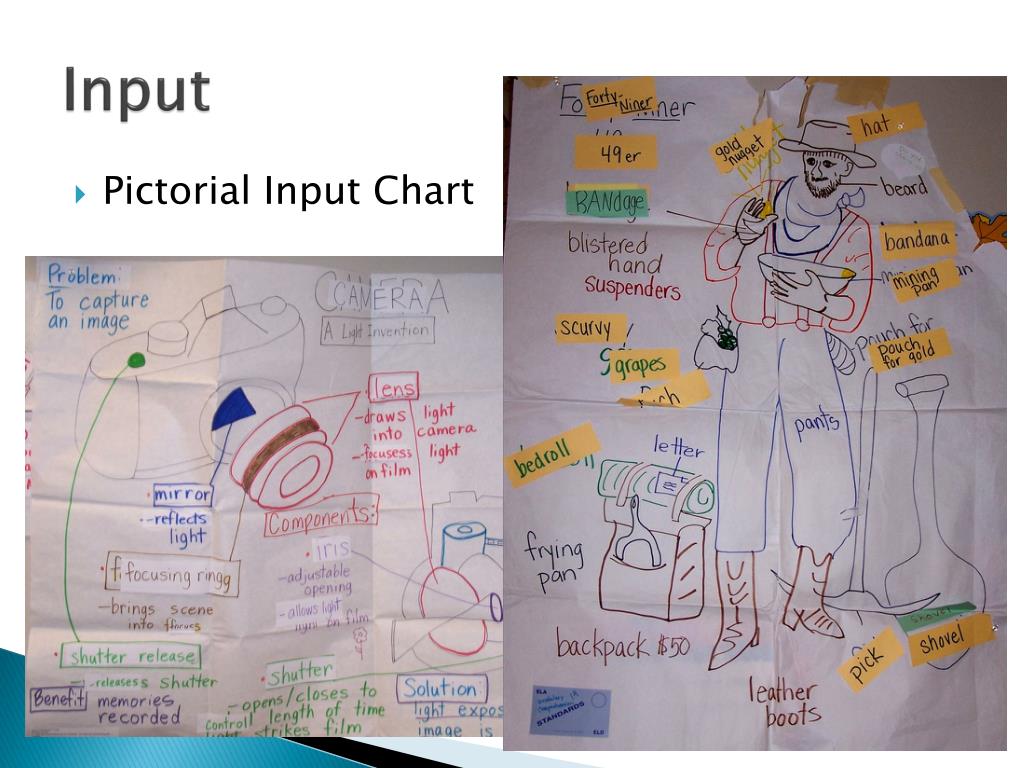 Pictorial Input Chart