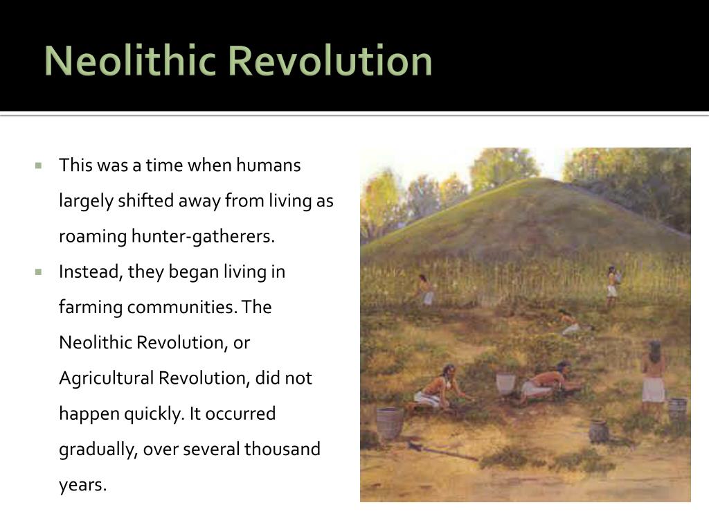 why did the neolithic revolution happen