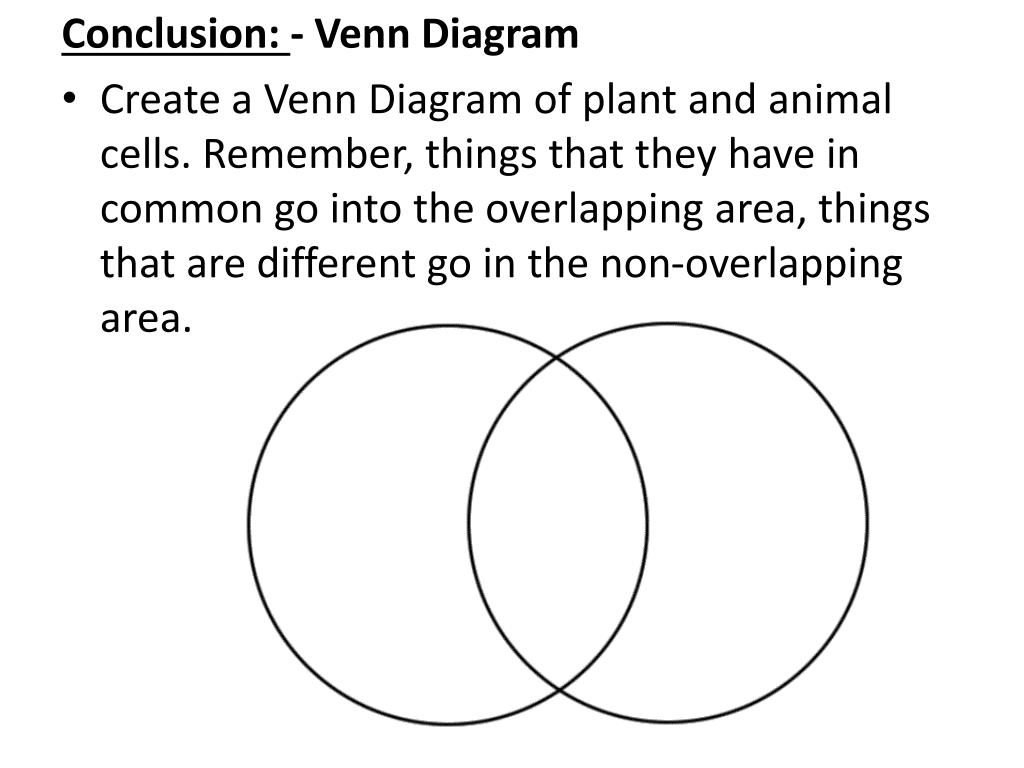 PPT - Comparing Plant and Animal Cells PowerPoint Presentation, free download - ID:2217895 PPT - Comparing Plant and Animal Cells PowerPoint Presentation, free download - ID:2217895