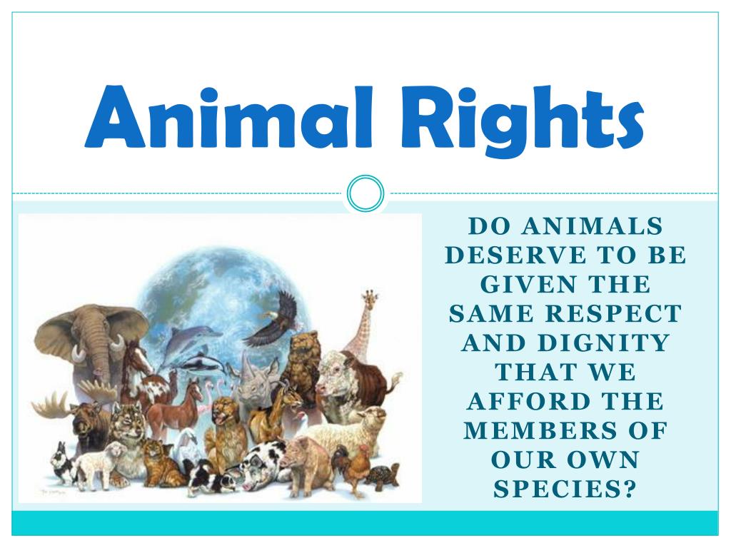 research about animal rights in your opinion