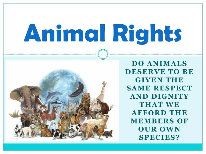 PPT Animal Rights PowerPoint Presentation Free Download ID 2218131