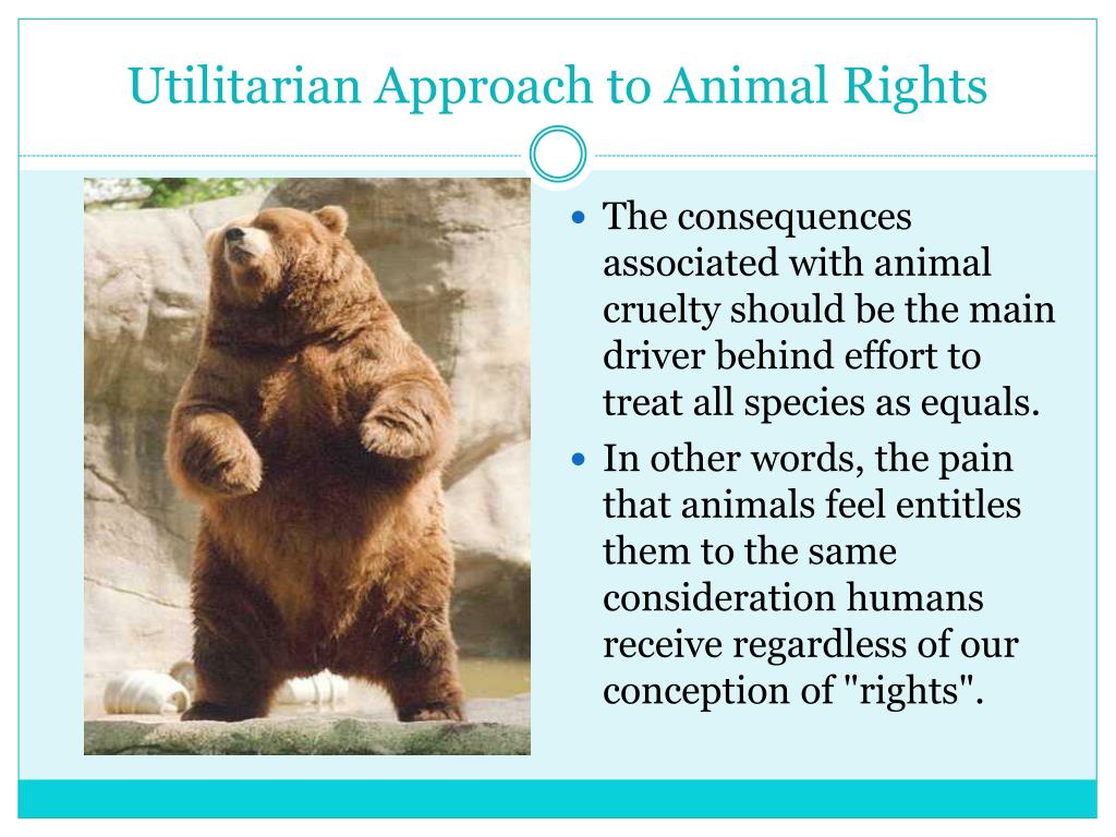 PPT Animal Rights PowerPoint Presentation Free Download ID 2218131