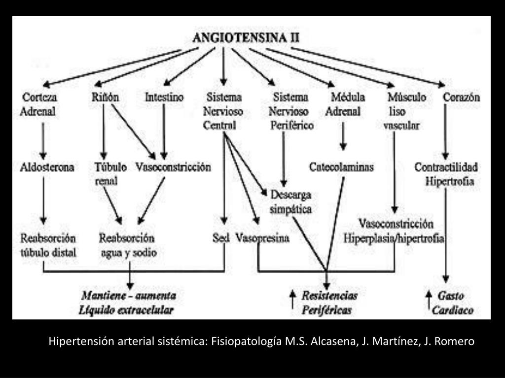 PPT - HIPERTENSION ARTERIAL SISTEMICA ESENCIAL PowerPoint Presentation