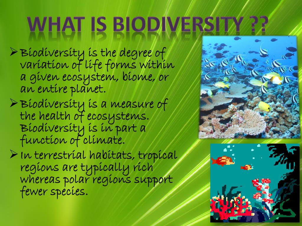 presentation for students biodiversity and conservation