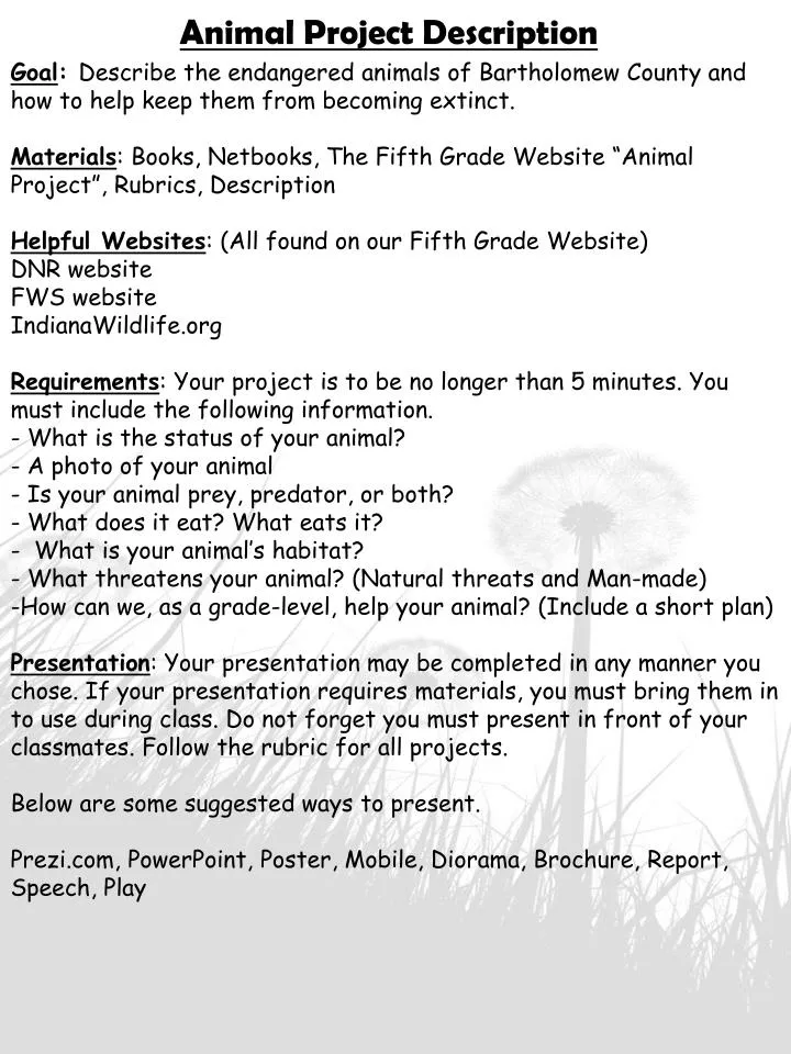 PPT - Animal Project Description PowerPoint Presentation, free download - ID:2221134 PPT - Animal Project Description PowerPoint Presentation, free download - ID:2221134