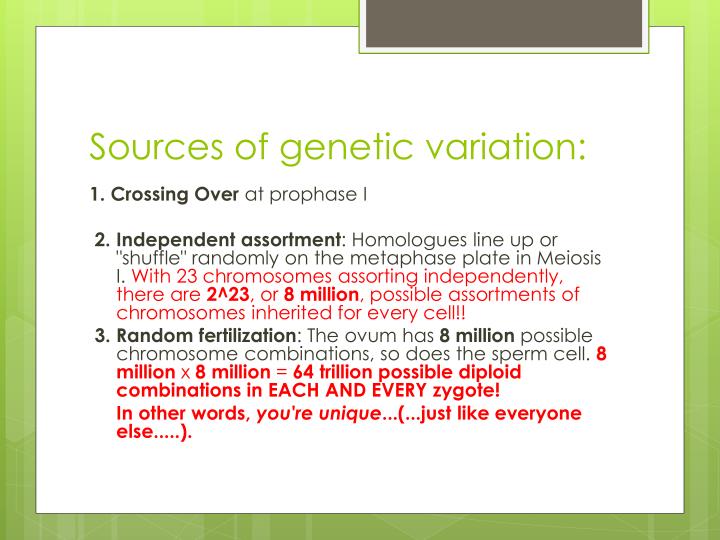 What Is Genetic Variation Sources Definition Types