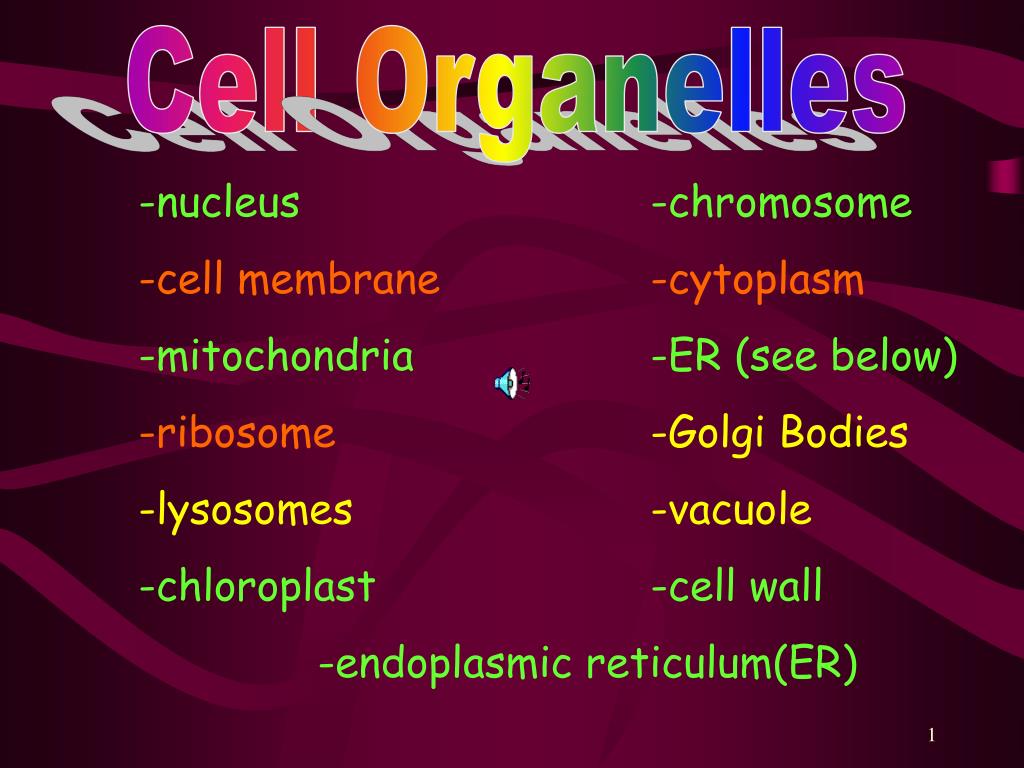 Ppt Cell Organelles Powerpoint Presentation Free Download Id 2221779
