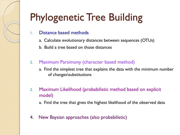 PPT Tree PowerPoint Presentation ID2221854 
