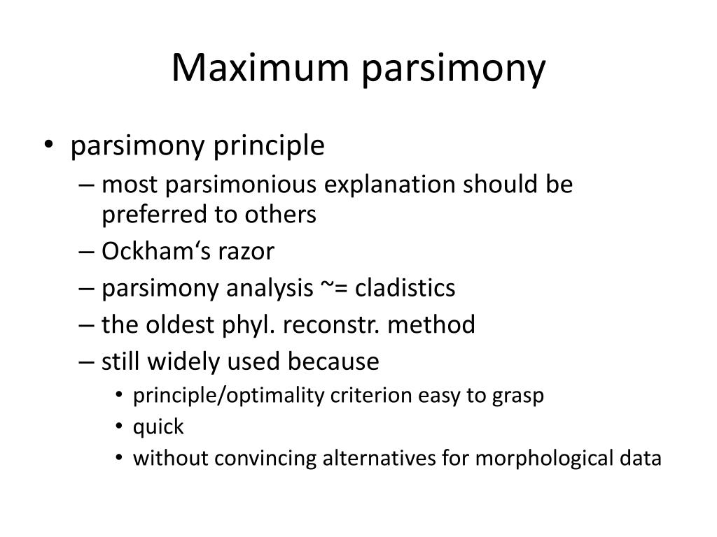 principle of parsimony