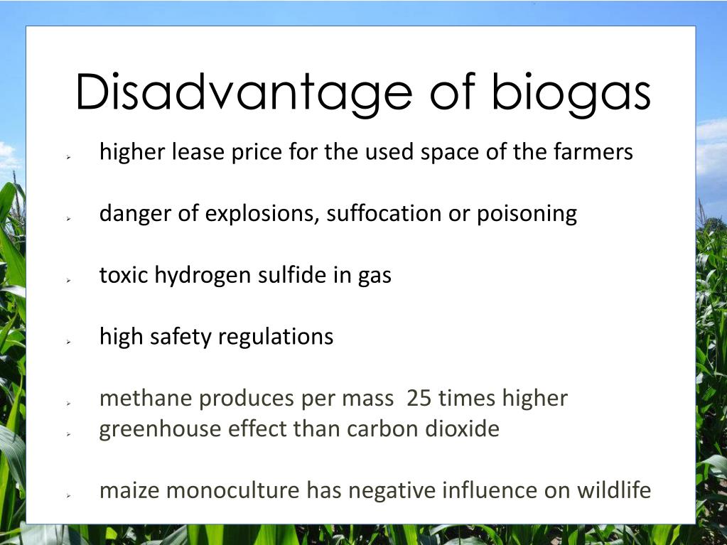 PPT - Biogas PowerPoint Presentation, free download - ID:2224444