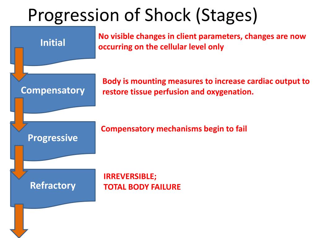 Phases Of Shock   Progression Of Shock Stages L 