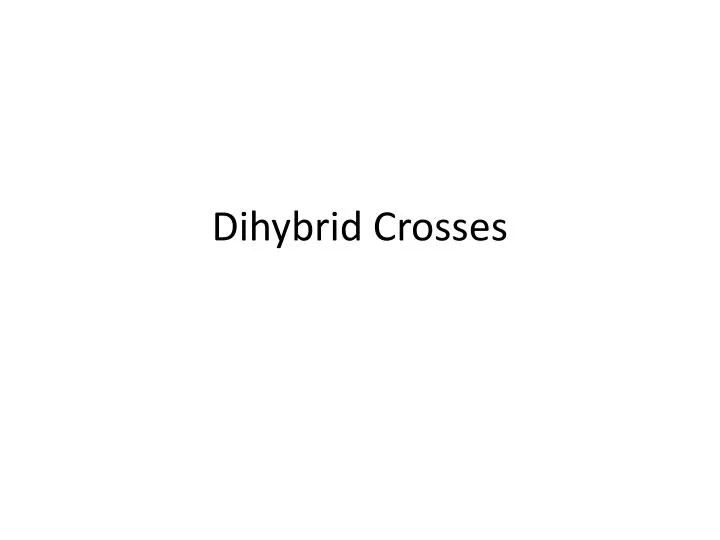 dihybrid crosses n.