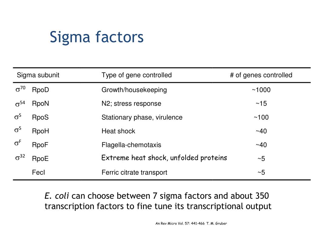 Сигма фактор. Сменные Сигма факторы e.coli. Сигма фактор RPOS. Сигма фактор у бактерий.