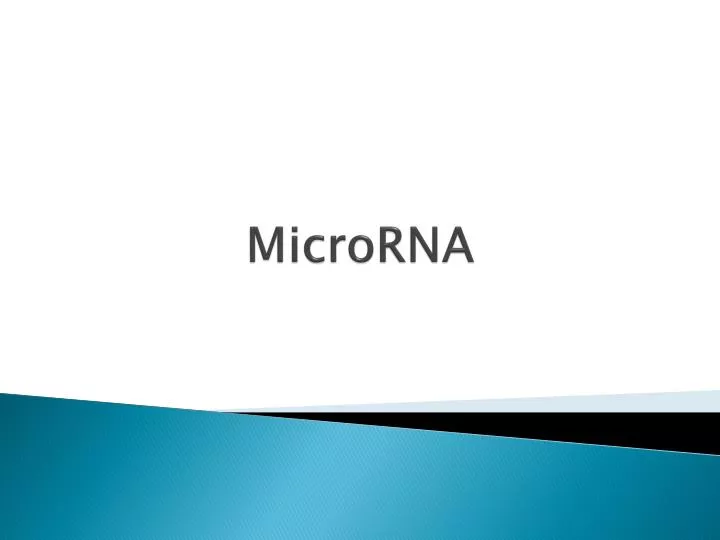 PPT MicroRNA PowerPoint Presentation Free Download ID 2226612
