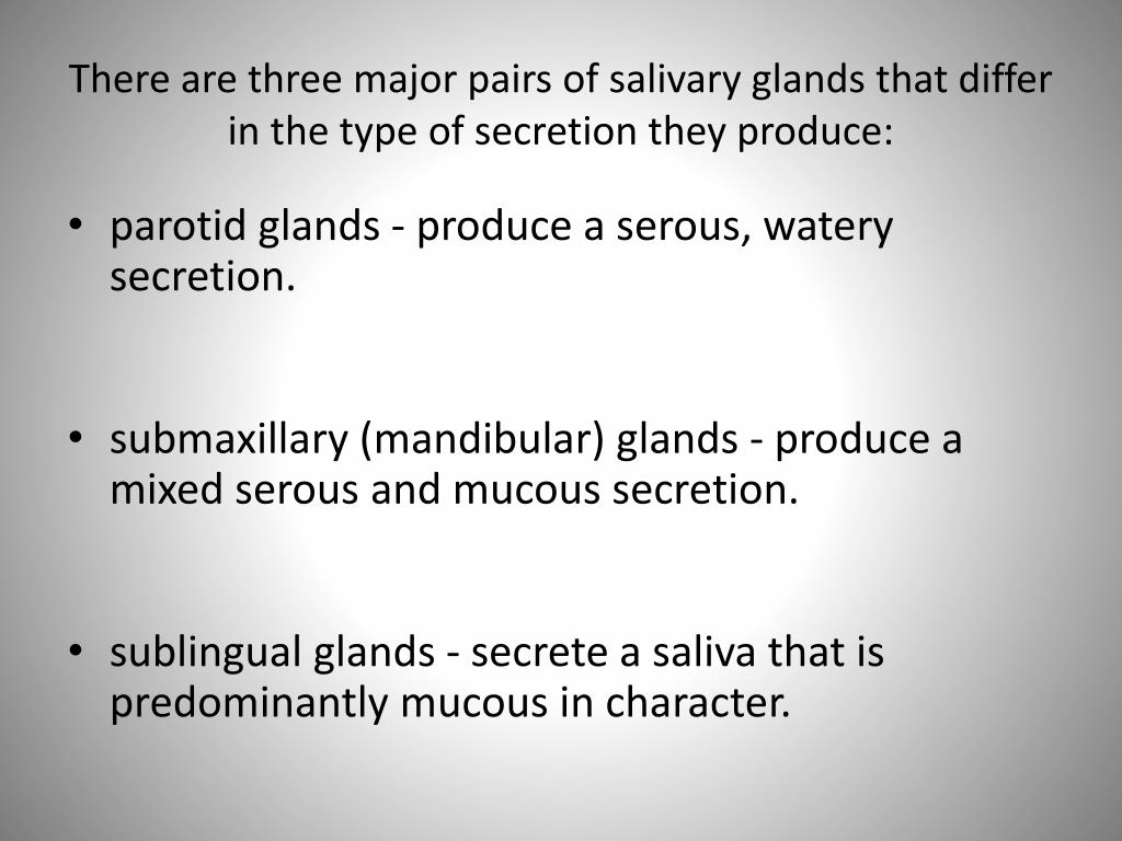 Salivary Glands and Saliva PowerPoint Presentation free download Biology Diagrams