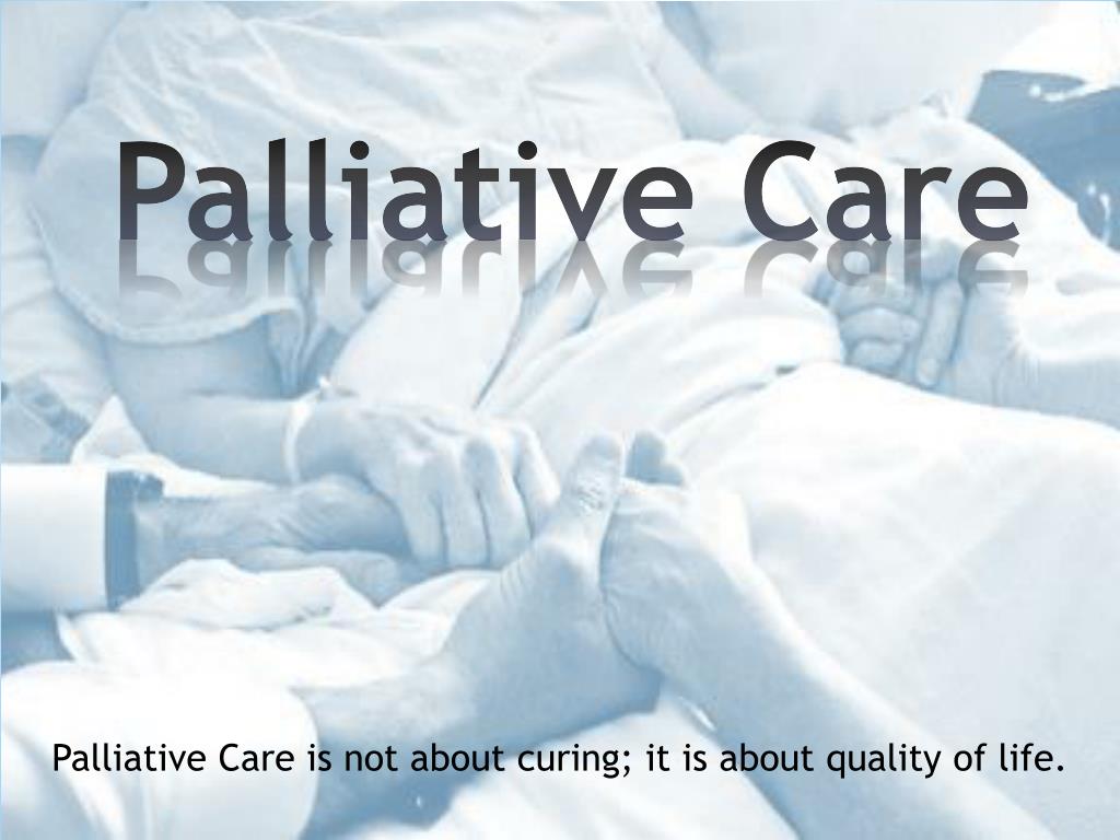 palliative care social work education