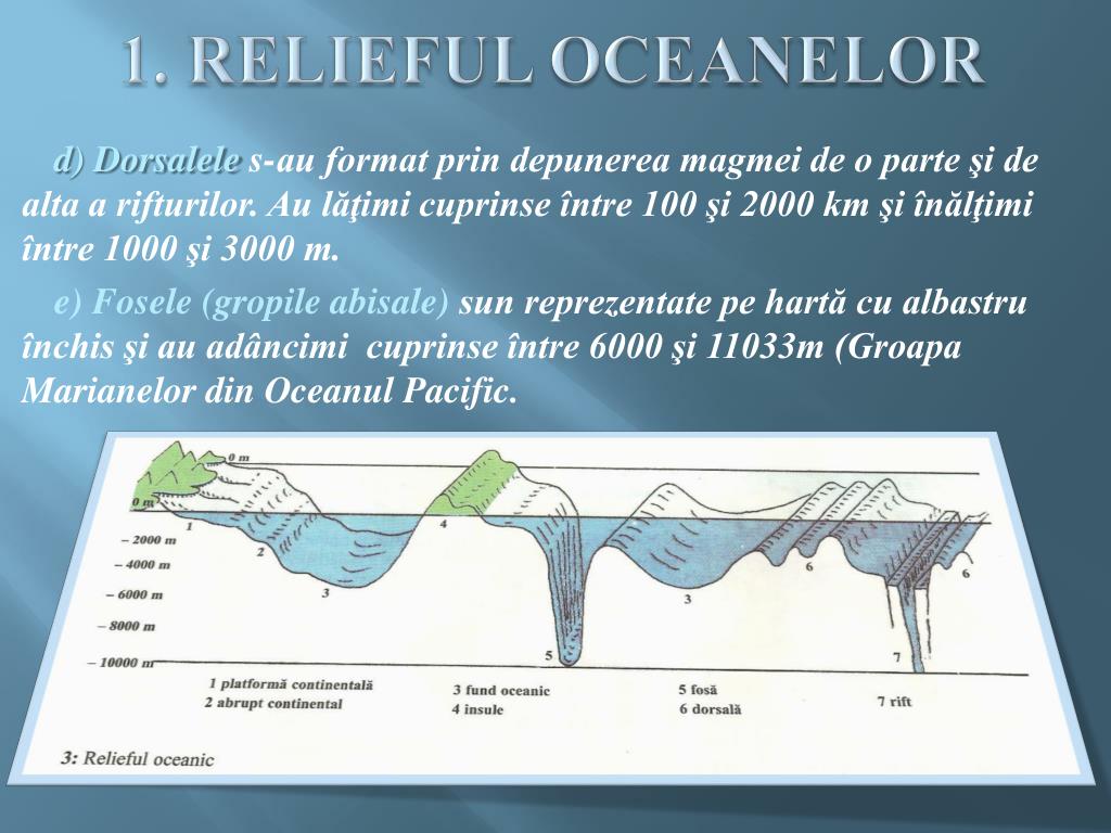 PPT - RELIEFUL OCEANELOR ŞI AL CONTINENTELOR PowerPoint Presentation, free  download - ID:2229647