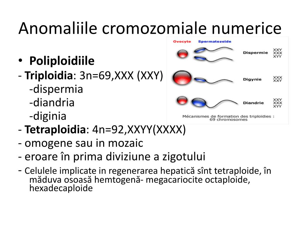Anomalii cromozomiale