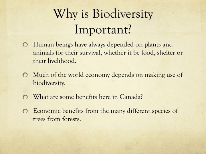 PPT - Biodiversity & Invasive Species PowerPoint Presentation - ID:2230981