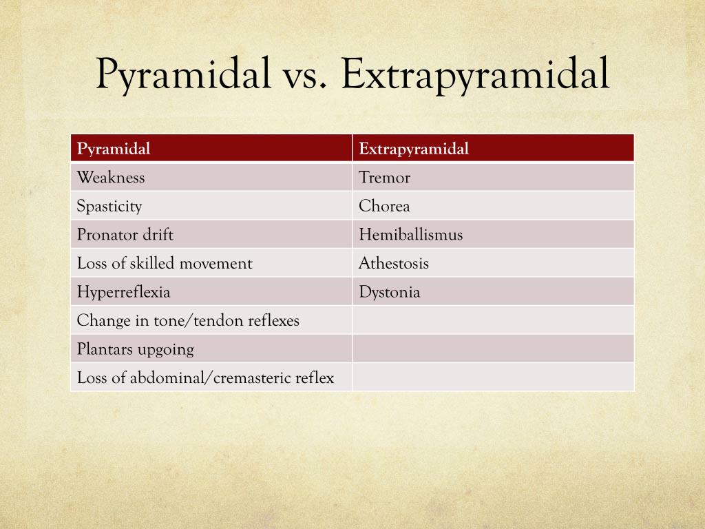 Extrapyramidal Tract Ppt extrapyramidal-tract-ppt