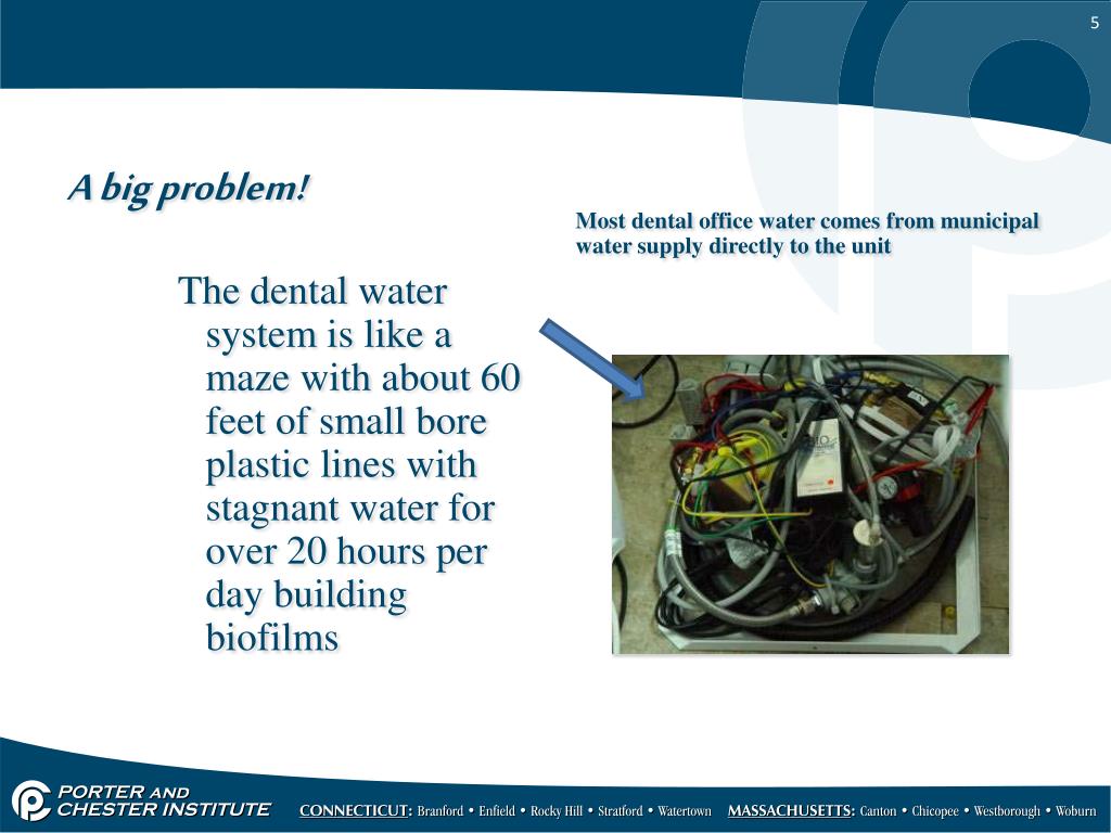 PPT - Waterlines, Biofilms and Water Quality PowerPoint Presentation