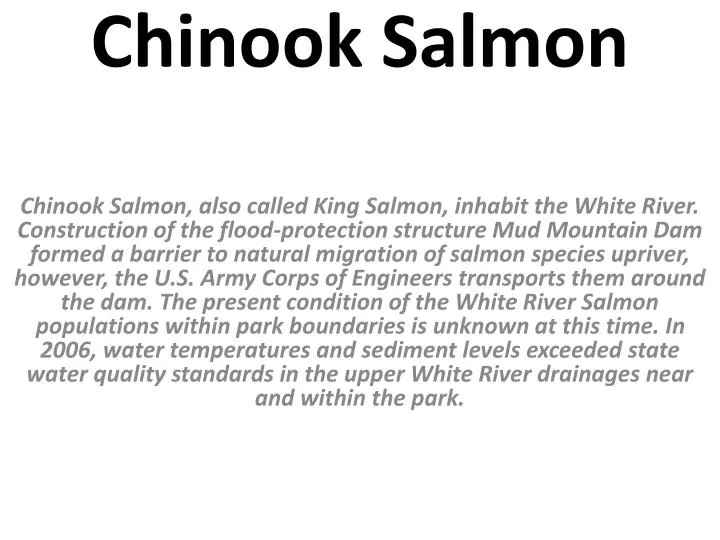 PPT Chinook Salmon PowerPoint Presentation, free download ID2234699