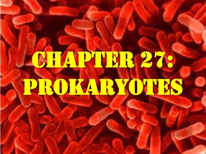 chapter 27 prokaryotes n.