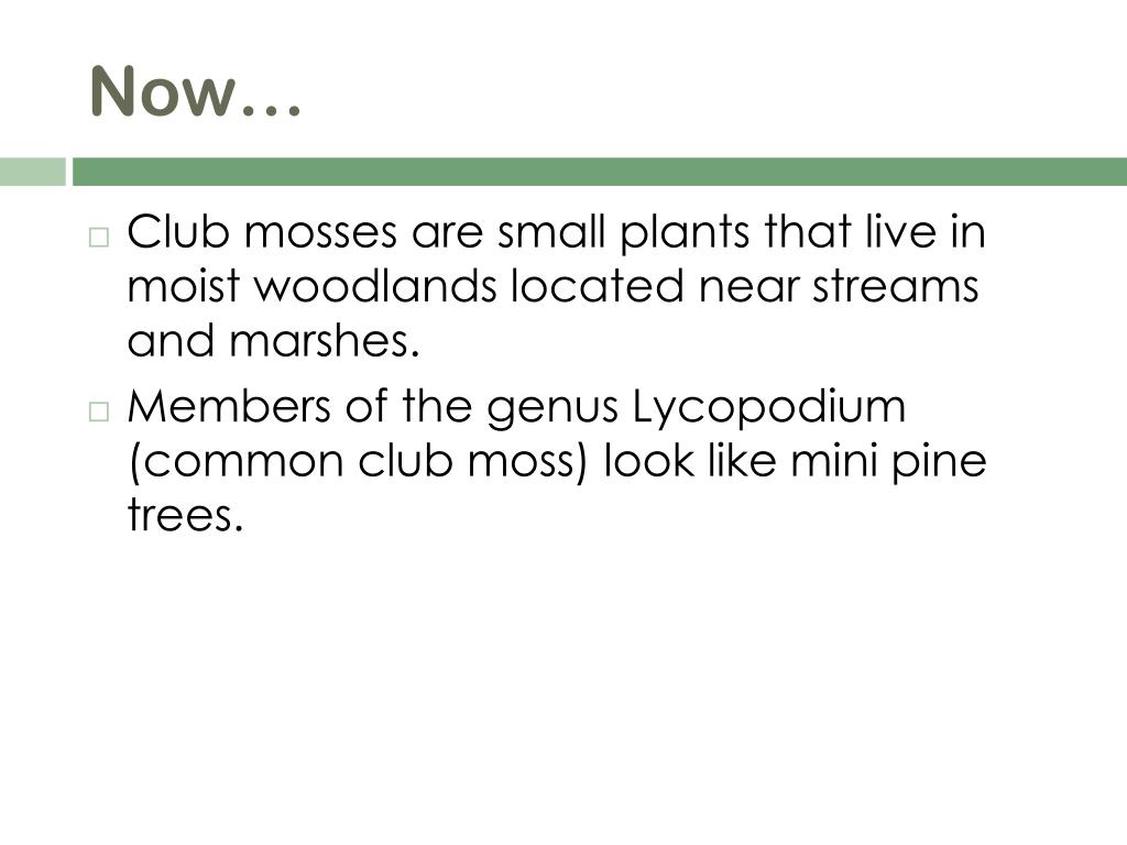 free download club moss free download club moss