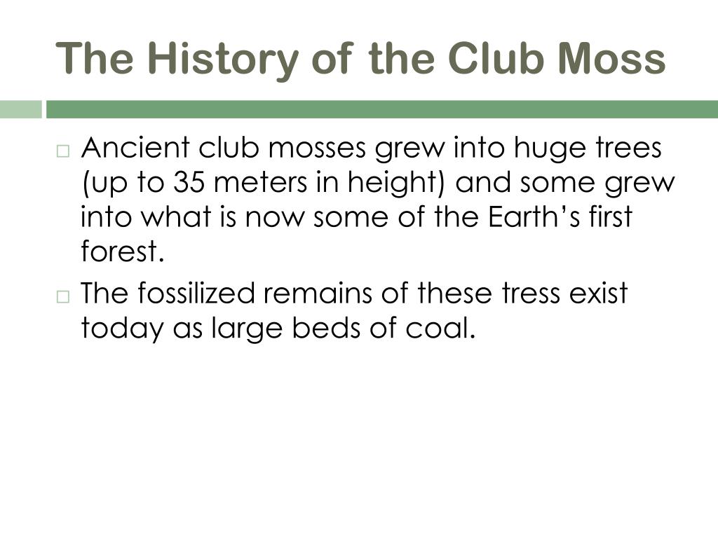 download free club moss download free club moss