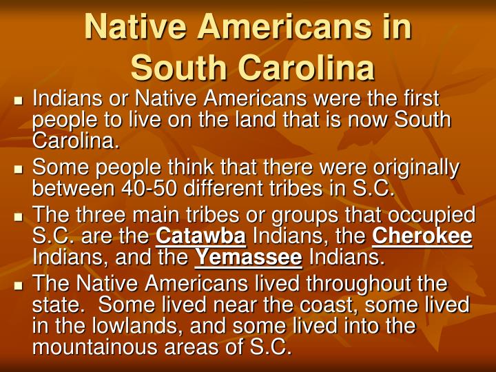 natives americans essay natives americans essay