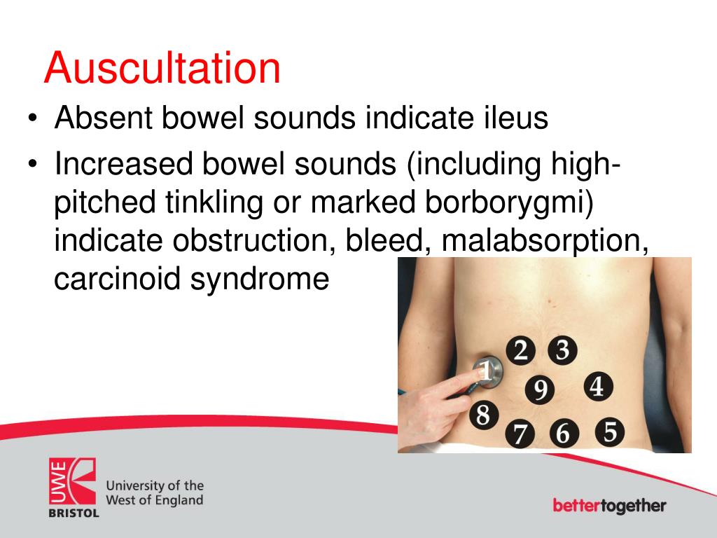 PPT Abdominal Exam For Advanced Practice PowerPoint Presentation 