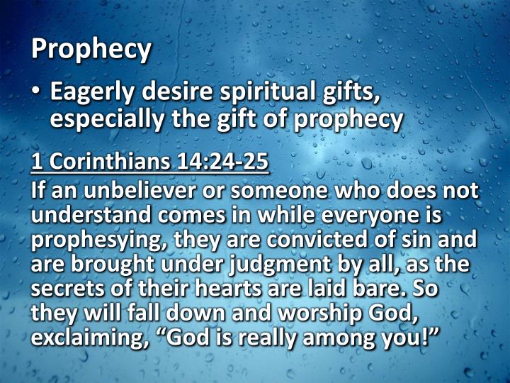 the beatryce prophecy gift edition the beatryce prophecy gift edition