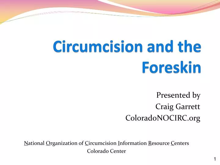 Ppt Circumcision And The Foreskin Powerpoint Presentation Free Download Id2237259 