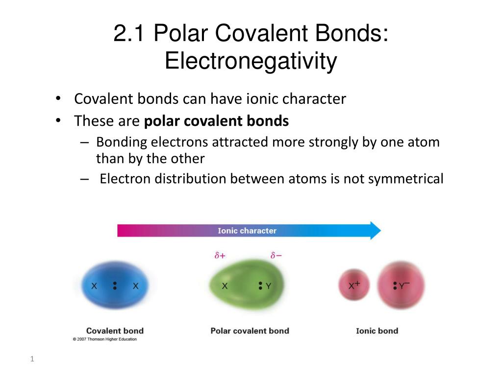 polar covalent molecule