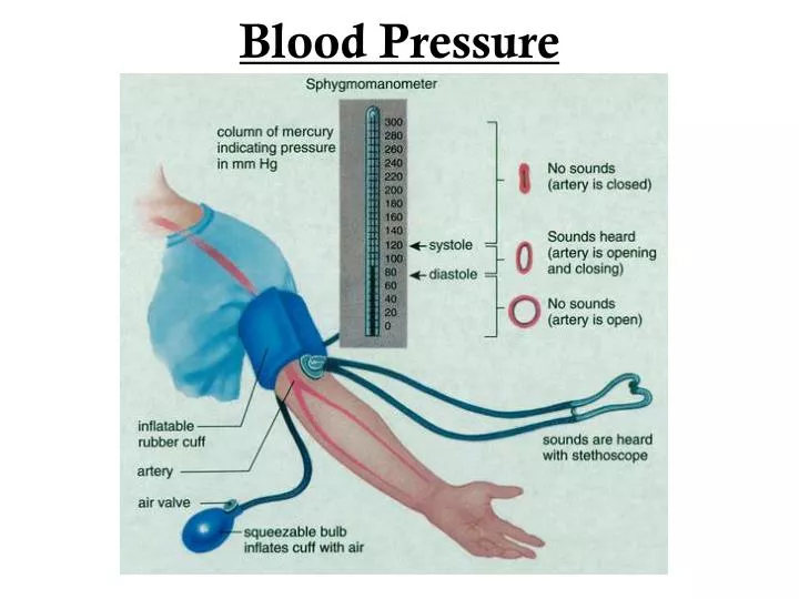 blood pressure n.