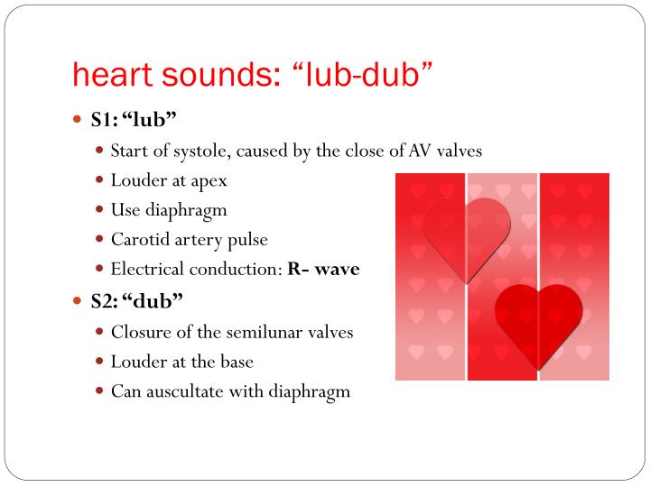 the lub dub sound of the heartbeat is due to