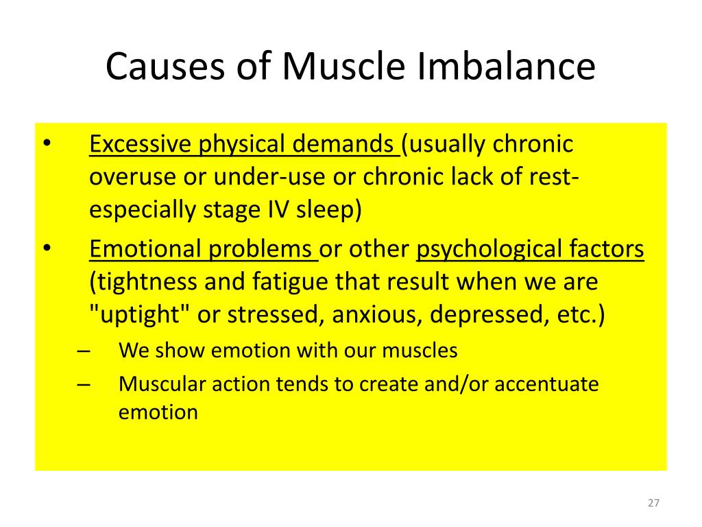 PPT - Muscle Imbalance Evaluation and Treatment for the Low Back and ...