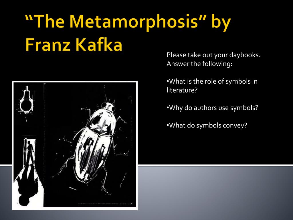 symbols in the metamorphosis