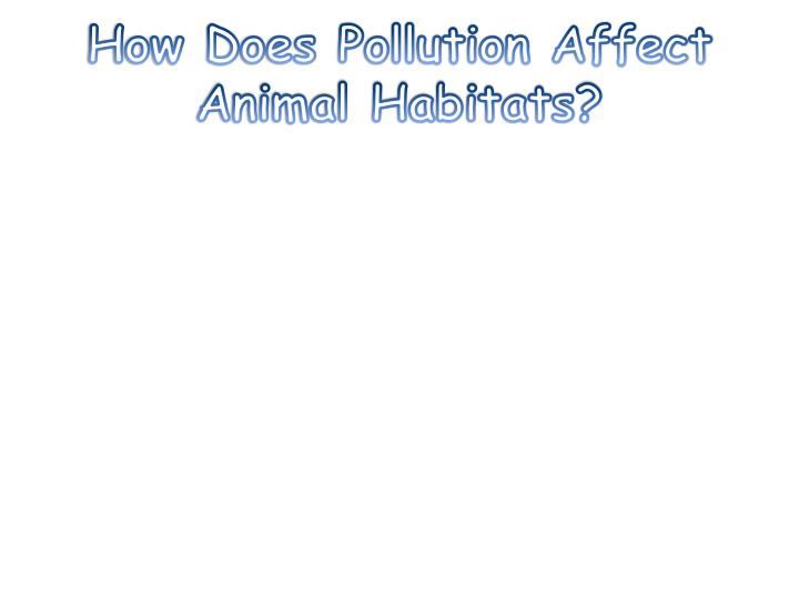 PPT The Lorax PowerPoint Presentation ID2238673
