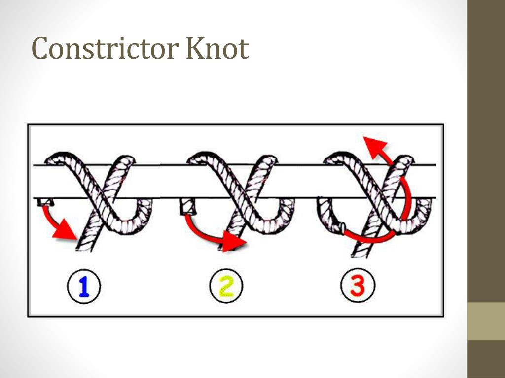 Констриктор узел. Constrictor Knot. Узел констриктор как вязать схема. Узел констриктор как вязать схема и объяснение. Узел боа констриктор.
