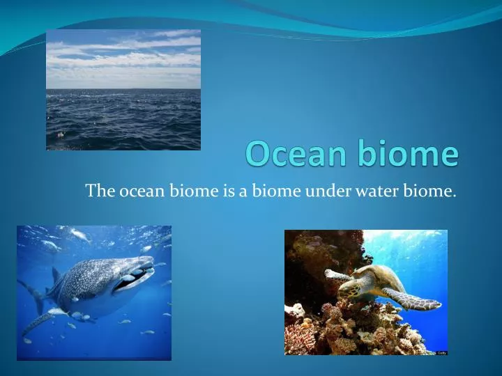 PPT - Ocean biome PowerPoint Presentation, free download - ID:2239292