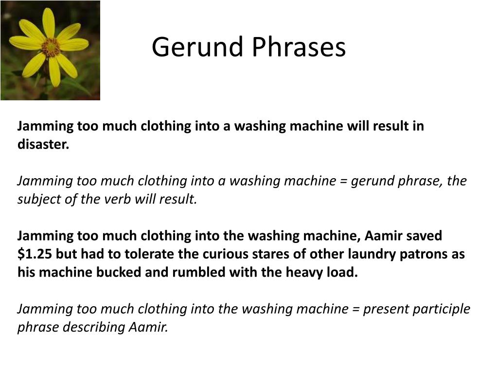 PPT The Garden of Phrases PowerPoint Presentation, free download ID