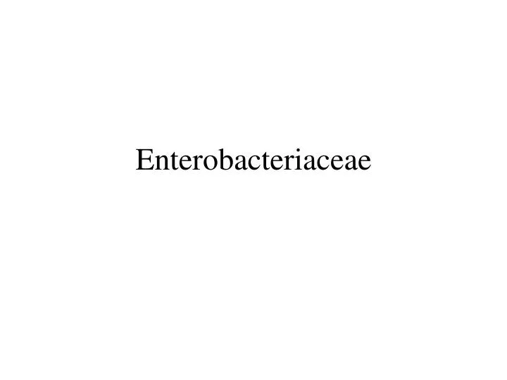 enterobacteriaceae n.