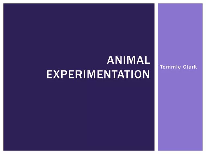 PPT - Animal Experimentation PowerPoint Presentation, free download - ID:2240862 PPT - Animal Experimentation PowerPoint Presentation, free download - ID:2240862