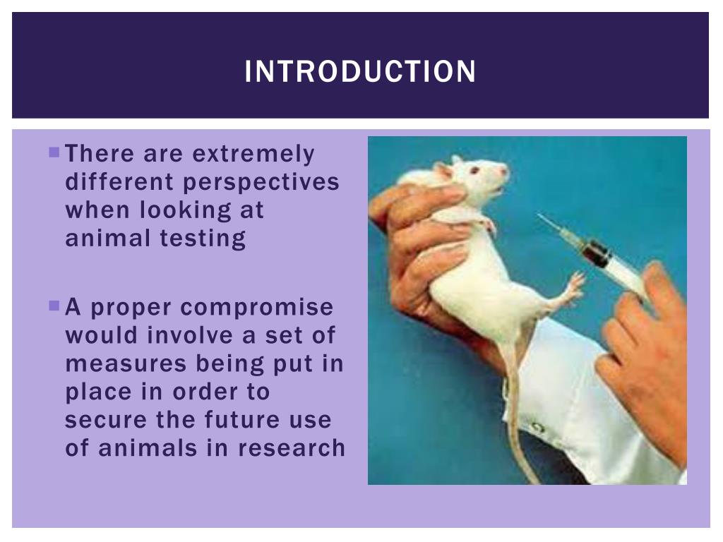 PPT - Animal Experimentation PowerPoint Presentation, free download - ID:2240862 PPT - Animal Experimentation PowerPoint Presentation, free download - ID:2240862