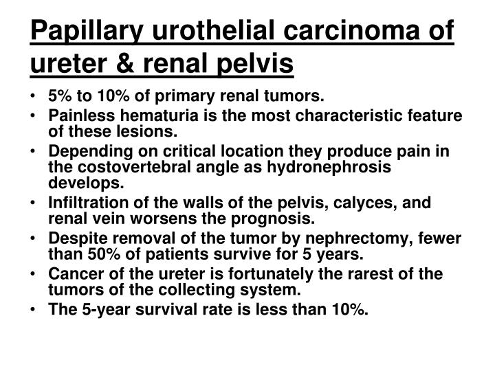 PPT - Urinary Tract Tumors PowerPoint Presentation - ID:2240888