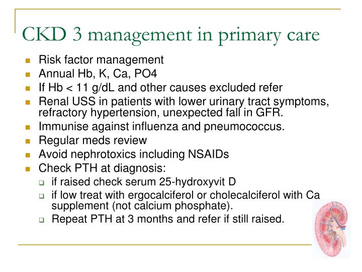 PPT Management of Chronic Kidney Disease PowerPoint