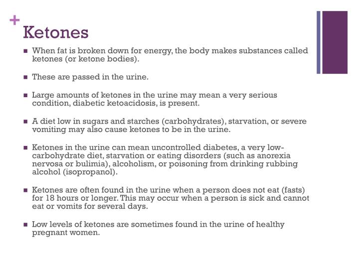 PPT Urinalysis 101 PowerPoint Presentation ID2241078