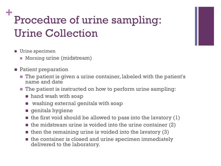 PPT Urinalysis 101 PowerPoint Presentation ID 2241078 PPT Urinalysis 101 PowerPoint Presentation ID 2241078