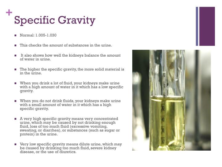 normal specific gravity of urine normal specific gravity of urine
